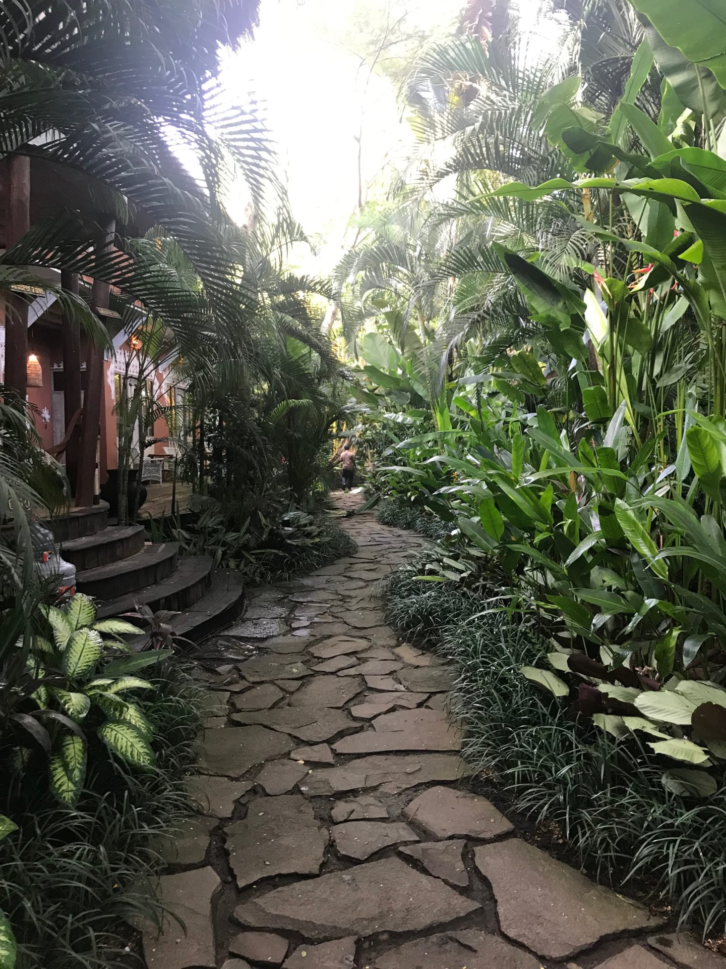 The Yoga Barn Pathway