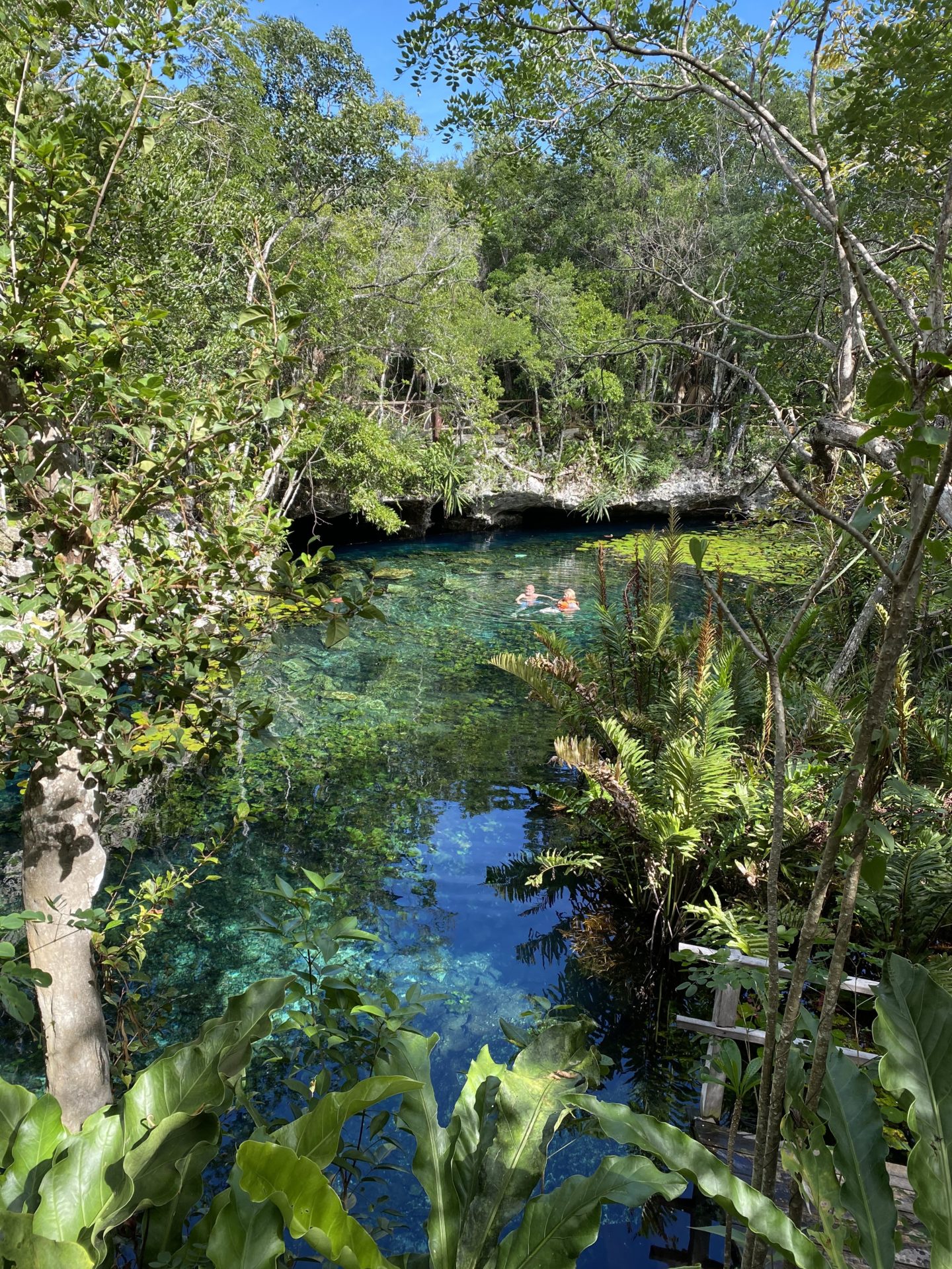 Tulum, MX- Nicte Ha Cenote