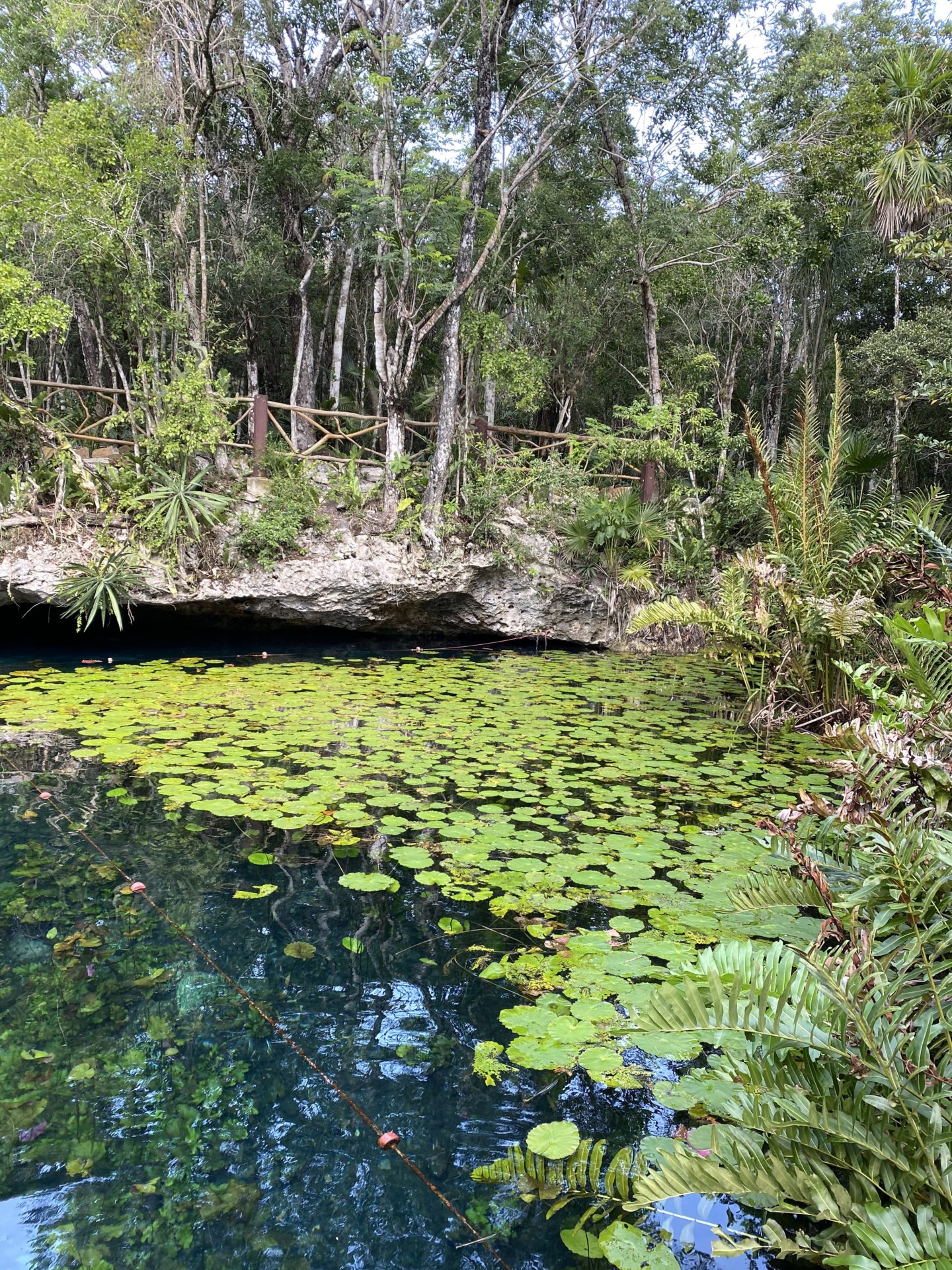 Tulum, MX- Nicte Ha Cenote (Flower Water)