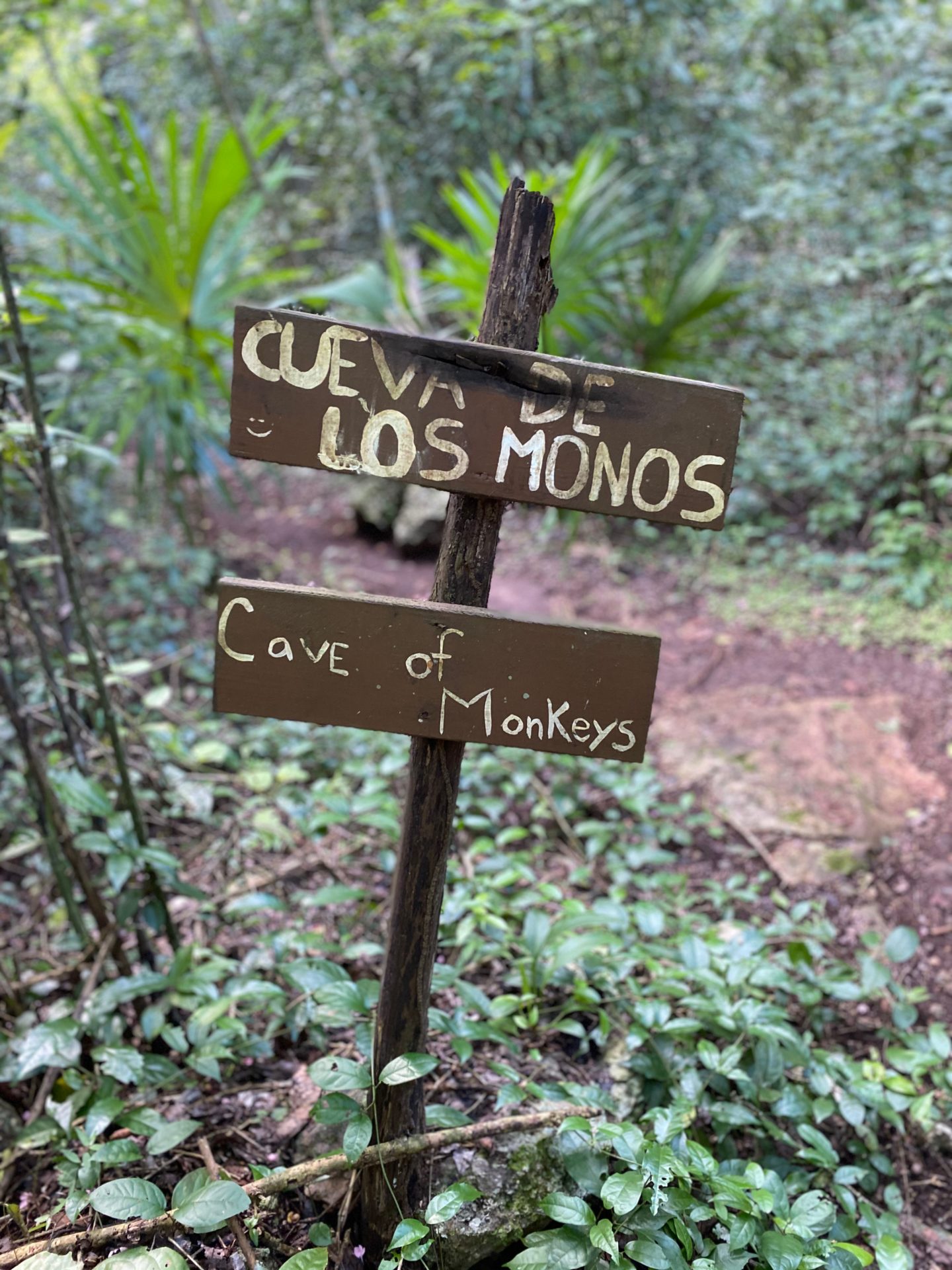 PUNTA LAGUNA MONKEY RESERVE