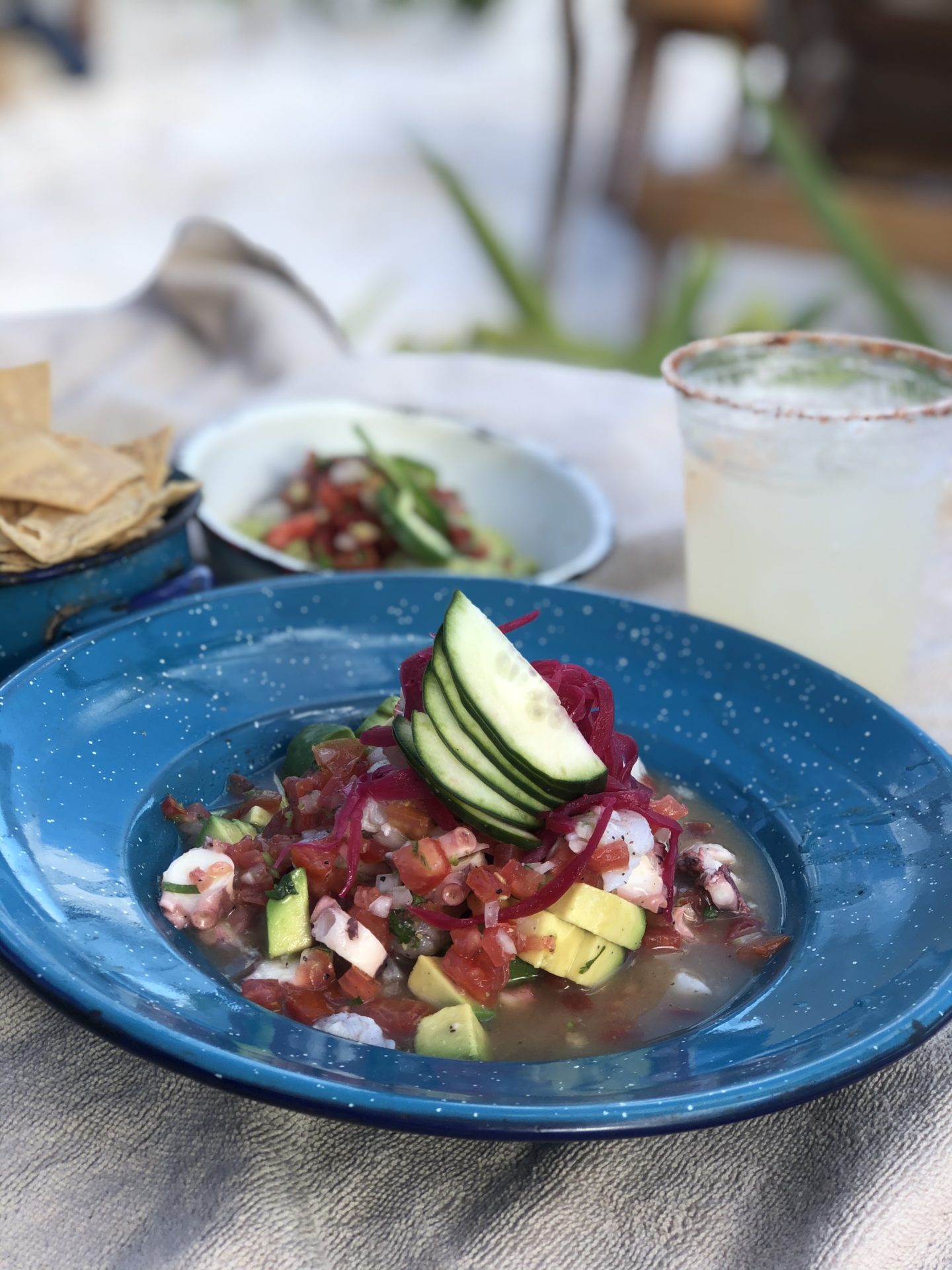 Villa Pescadores Tulum Beach Club Bar Food