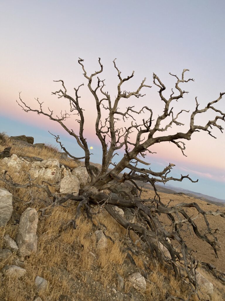 Inspiration Peak Joshua Tree Hike